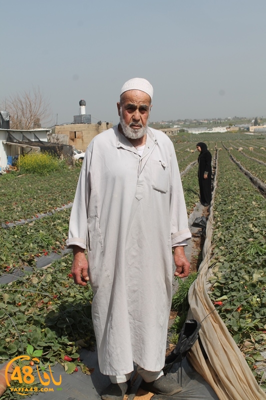 a7bab aqsa farawla (15).JPG